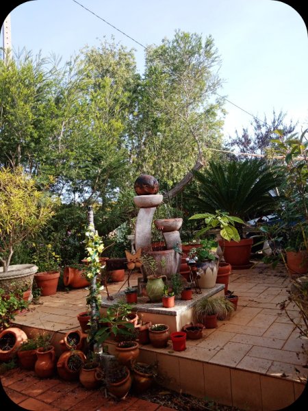 Raised Patio 14 Jan 24.jpg