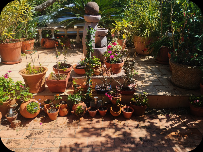 Raised Patio 29 Mar 25.jpg