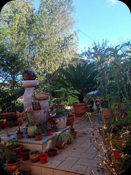 Raised Patio  5 Jan 24.jpg