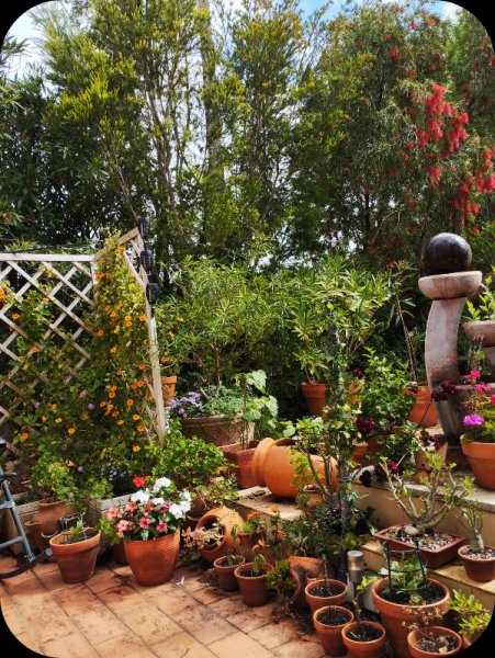 Raised Patio Left 1 Mat 25.jpg