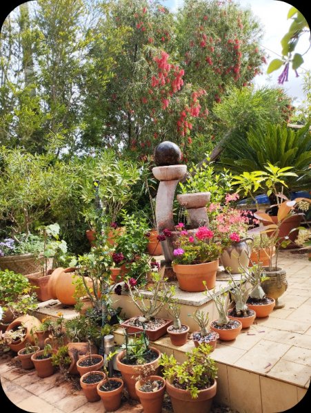 Raised Patio Left 1 May 25(1).jpg