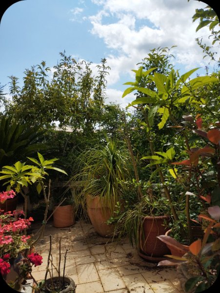 Raised Patio Right 1 May 25.jpg