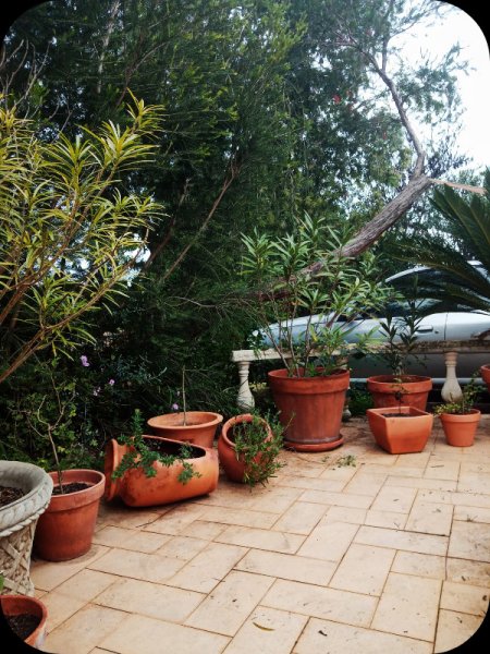 Raised Patio1 28 Jan 24.jpg