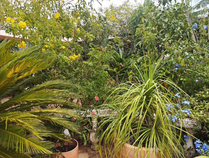 Raised Patio2 7 Sep 25.jpg