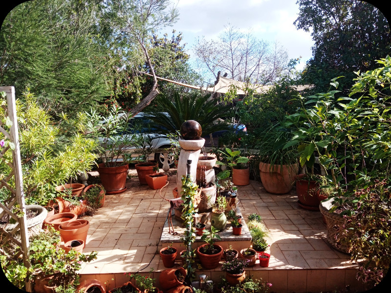 Raised Patio3 5 Nov 23(1).jpg