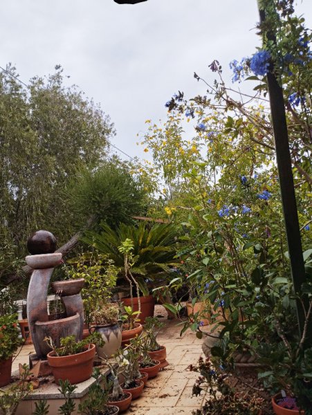 Raised Patio5 7 Sep 25.jpg