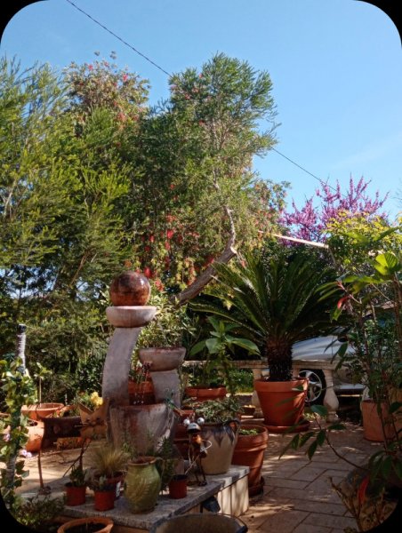 Raised Ptio 6 Mar 24.jpg