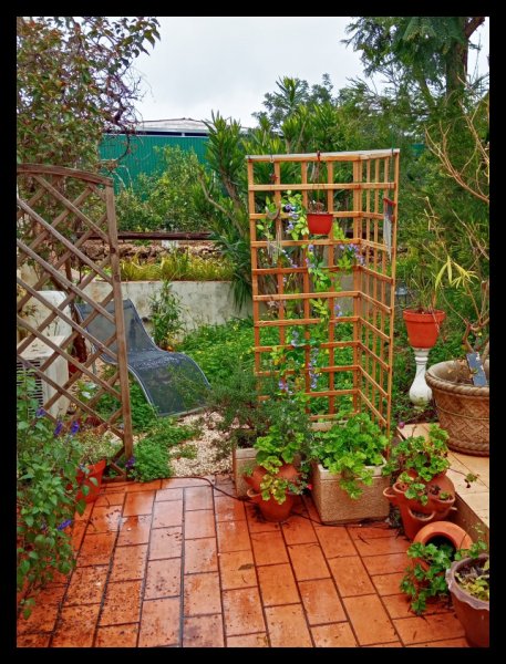 Reading Room in Rain.jpg