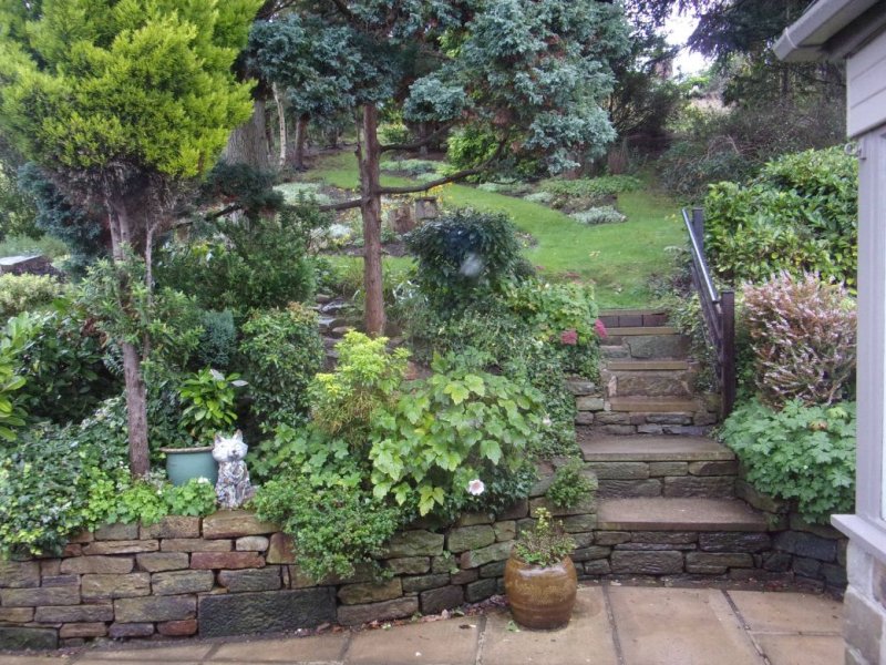 Rear garden._0001.JPG