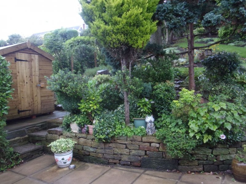 Rear garden._0002.JPG