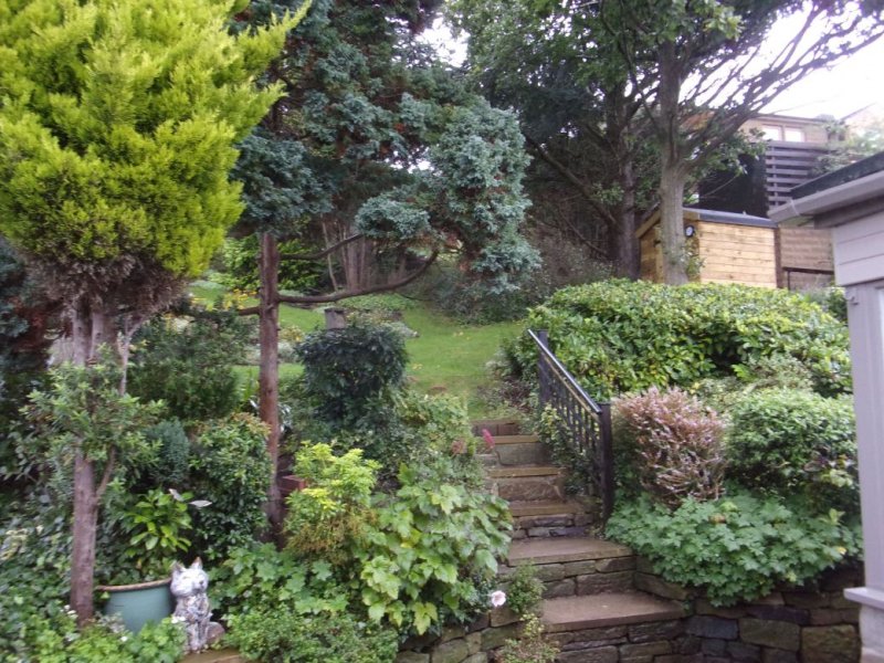 Rear garden._0003.JPG