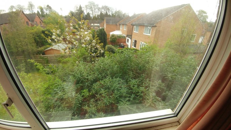 Rear Garden before.jpg