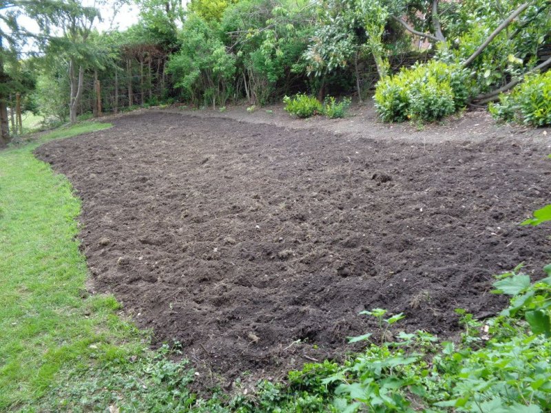 Rear garden_001_02.JPG