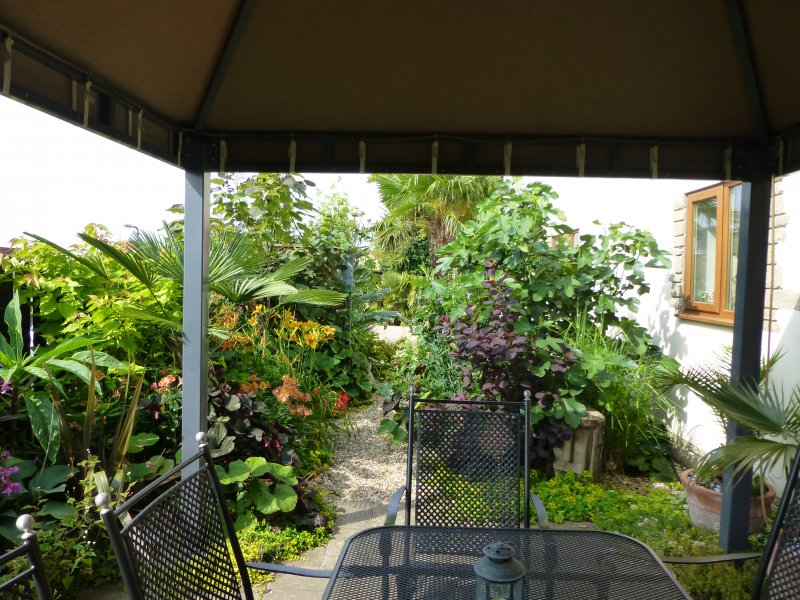 rear tropical area.JPG