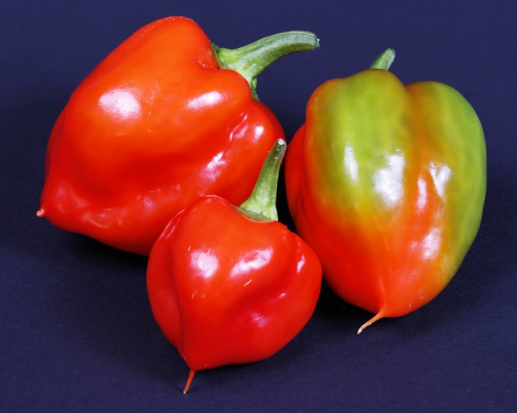 Red Habaneros 2000.jpg