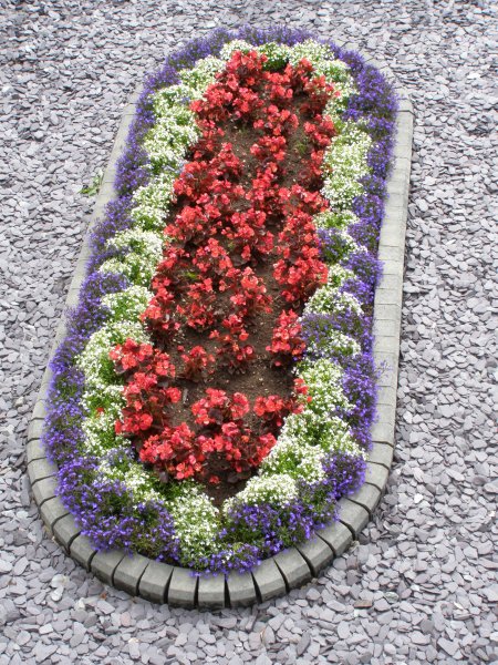 red white & blue.JPG