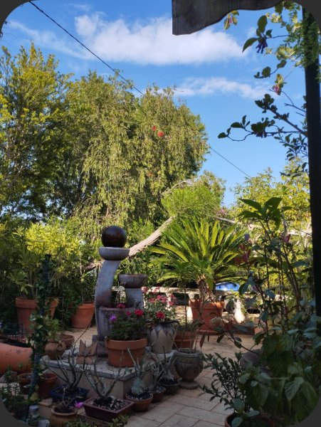 Rised Patio 13 Apr 25.jpg