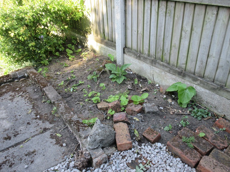 Rockery 1 (paint).jpg