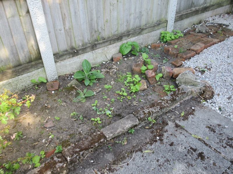 Rockery 2 (paint).jpg