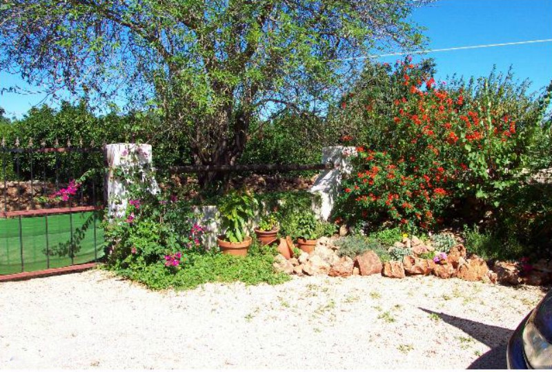 Rockery 25 Sep 07.jpg