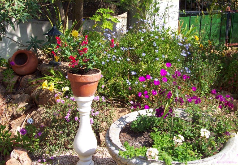 Rockery in March.jpg