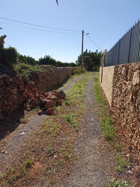 Rocks in Lane 11 Oct 21.jpg