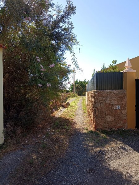 Rocks in Lane2 11 Oct 21.jpg