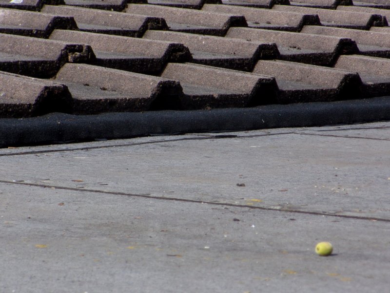 Roof completed_0002.JPG