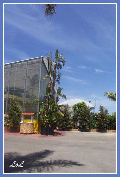 S Nicholai at Giga.JPG