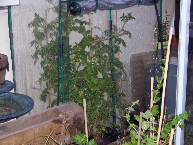 s p and donated 015.jpg