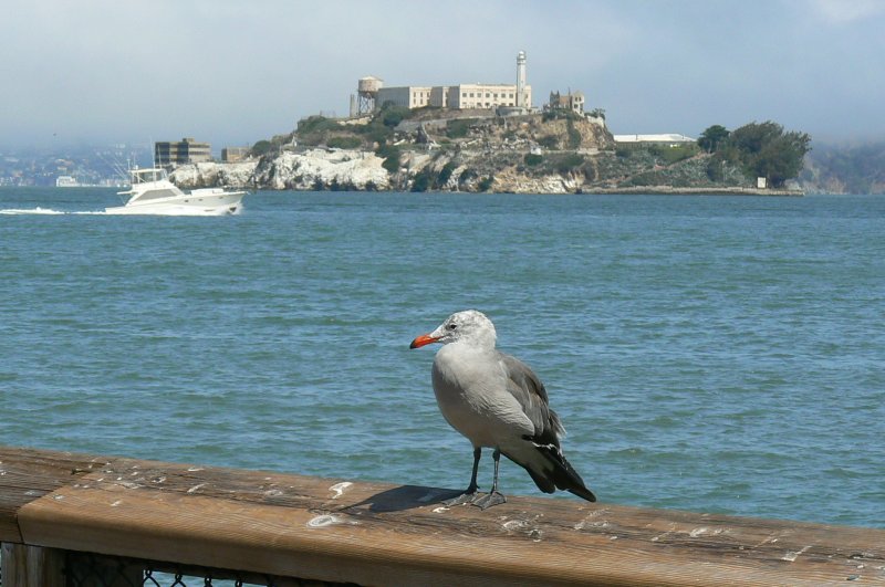 San Francisco (20).jpg