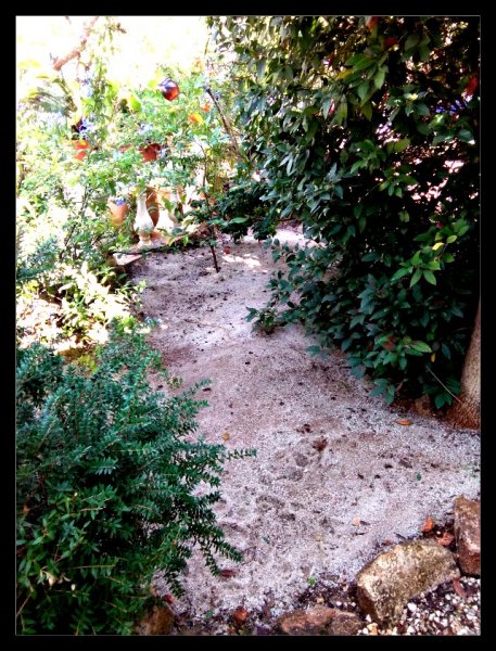 Sand Garden1 1 Nov 20.jpg