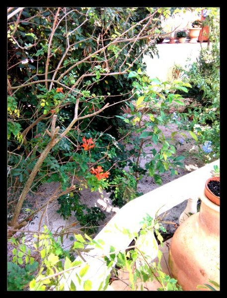 Sand Garden2 1 Nov 20.jpg