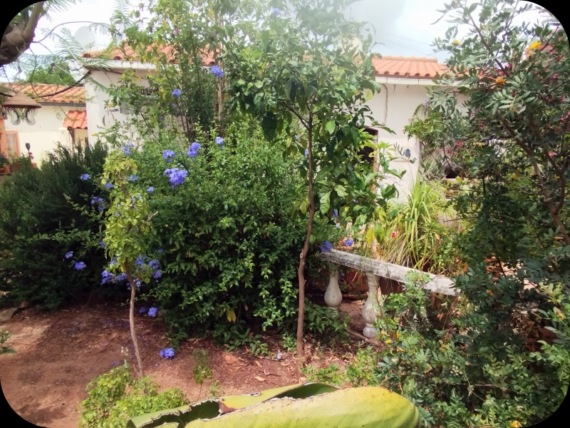 Sand Garden2 24 Jun 26.jpg