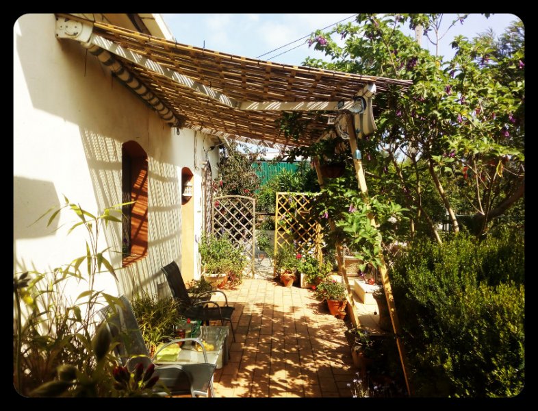 Sandbar 5 Apr 21.jpg