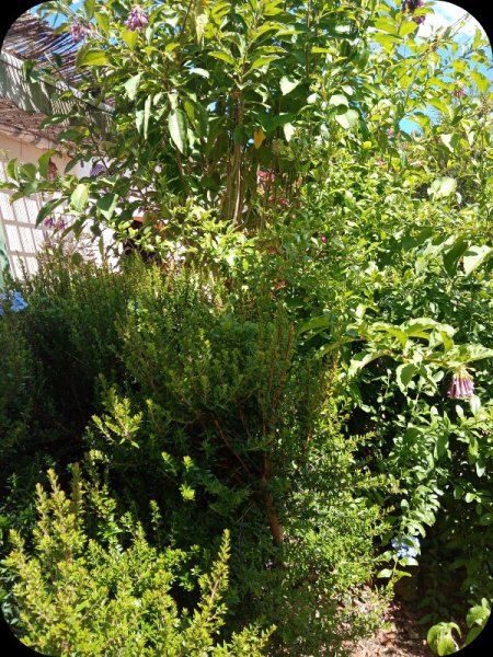 Sandgarden 18 May 24.jpg