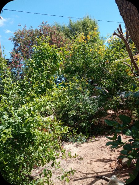 Sandgarden & Munch 18 May 24.jpg