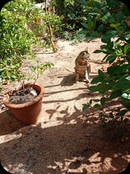 Sandgarden & Munch2 18 May 24.jpg