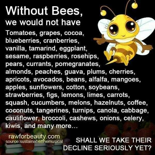 --save-the-bees-bee-keeping.jpg