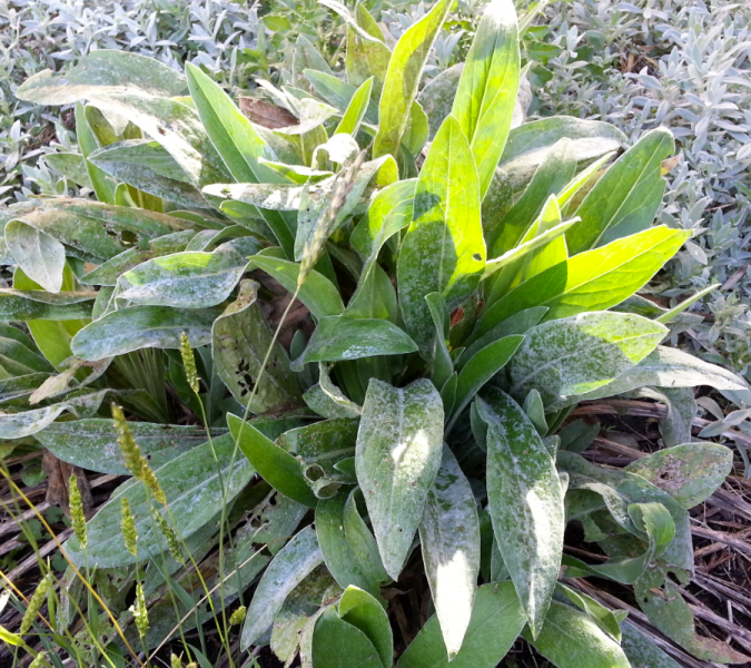 Screen Shot 2014-09-08 at 10.35.40.png