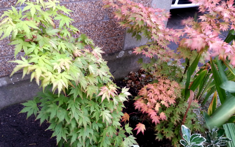 Screen Shot 2014-10-27 at 19.24.28.png