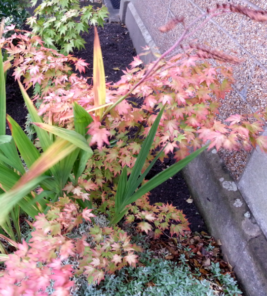 Screen Shot 2014-10-27 at 19.29.22.png