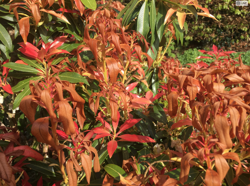 Screen Shot 2018-05-03 at 09.54.28.png