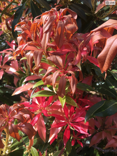 Screen Shot 2018-05-03 at 09.54.37.png