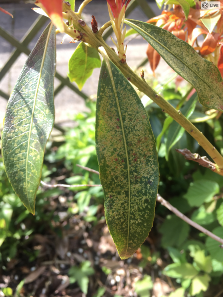 Screen Shot 2018-05-03 at 09.54.45.png