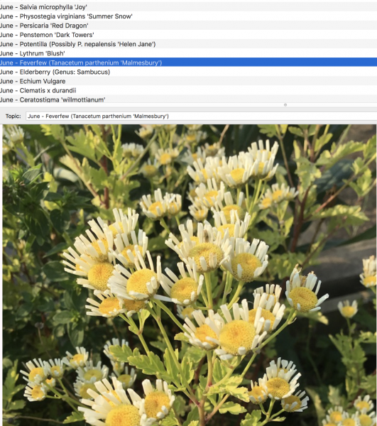 Screen Shot 2018-08-10 at 09.56.42.png