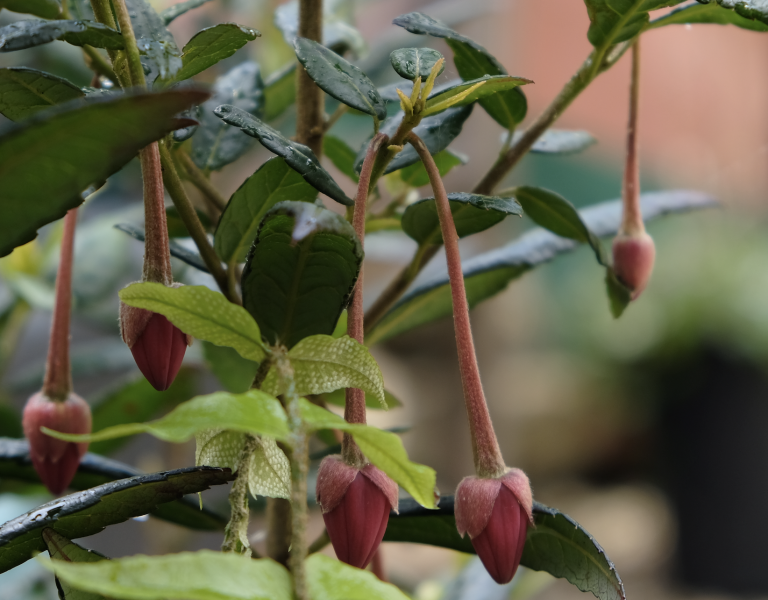 Screenshot 2020-05-01 at 16.22.15.png