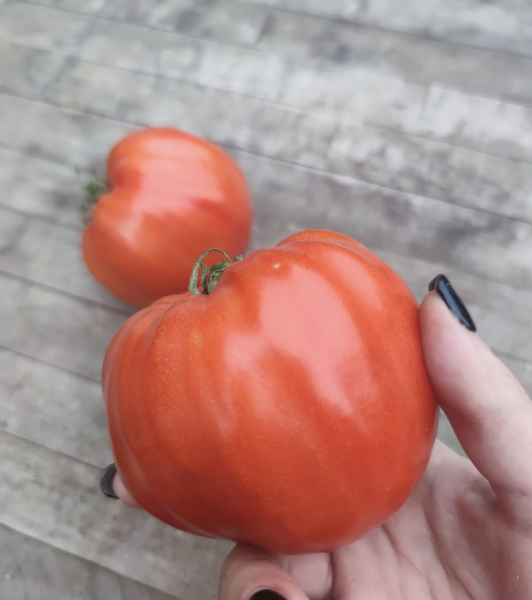 Screenshot 2022-01-20 at 23.08.33.png