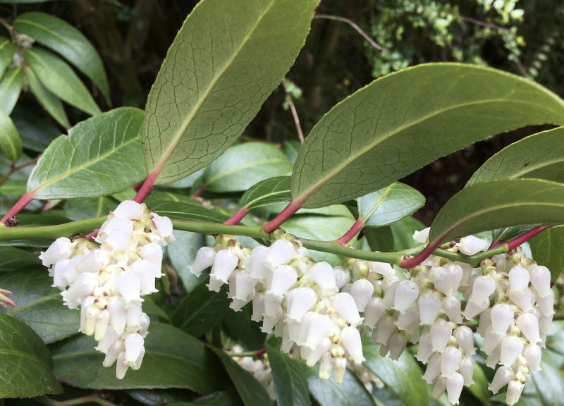 Screenshot 2022-05-07 at 23.26.13.png