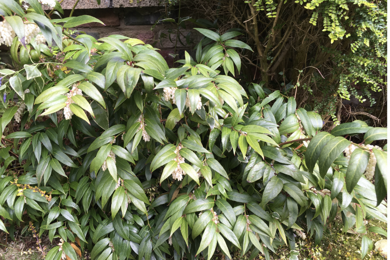 Screenshot 2022-05-07 at 23.26.59.png